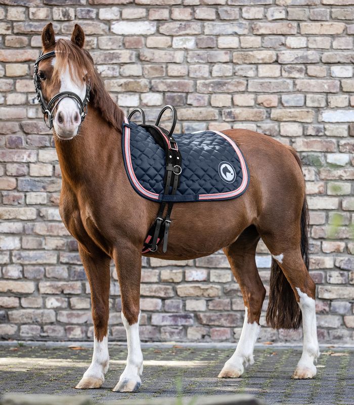 Braunes Pony trägt die dunkelblaue, gesteppte WALDHAUSEN Schabracke Lucky mit einer rosa-weißen Zierkordel.
