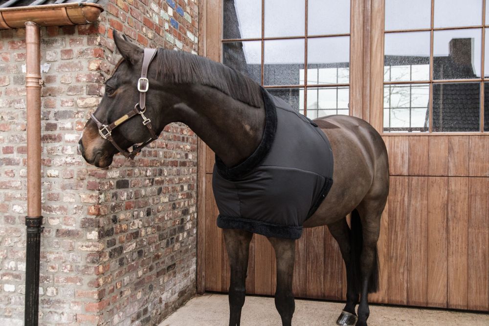 KENTUCKY® HORSEWEAR Brustschutz