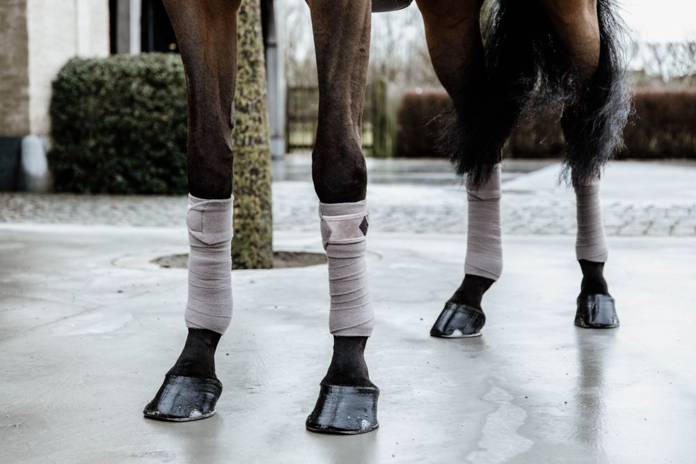 KENTUCKY® HORSEWEAR Fleece-Bandage Basic Velvet, 4er-Set
