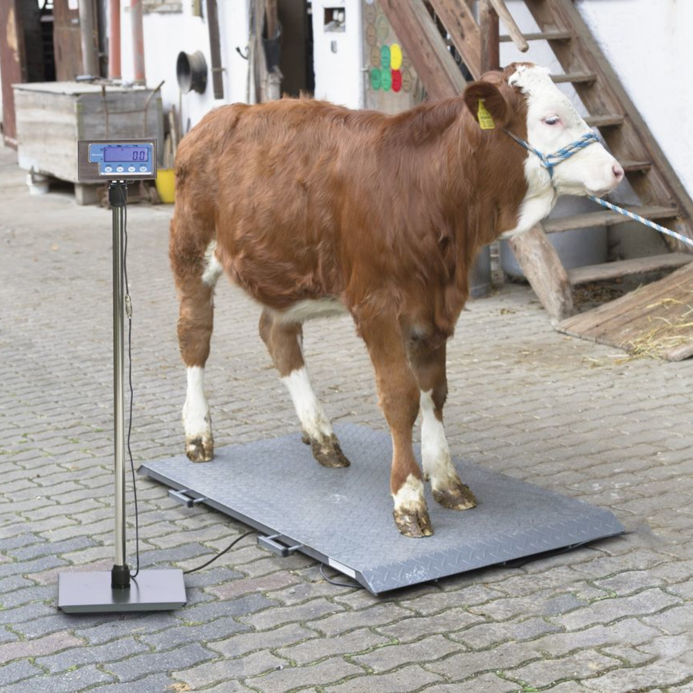 KERBL PS Tierwaage