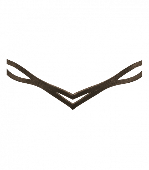 Island Trensenzaum Anatomic