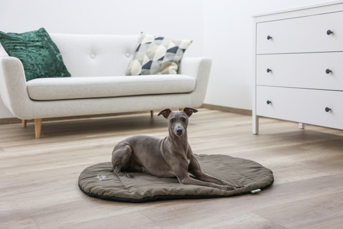 KERBL Traveller Reisekissen 85x65cm mit Hülle, taupe