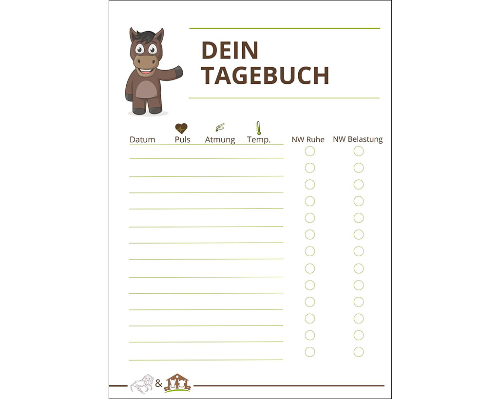 Erste-Hilfe-Kurs-fuer-Pferde-SW14863-2