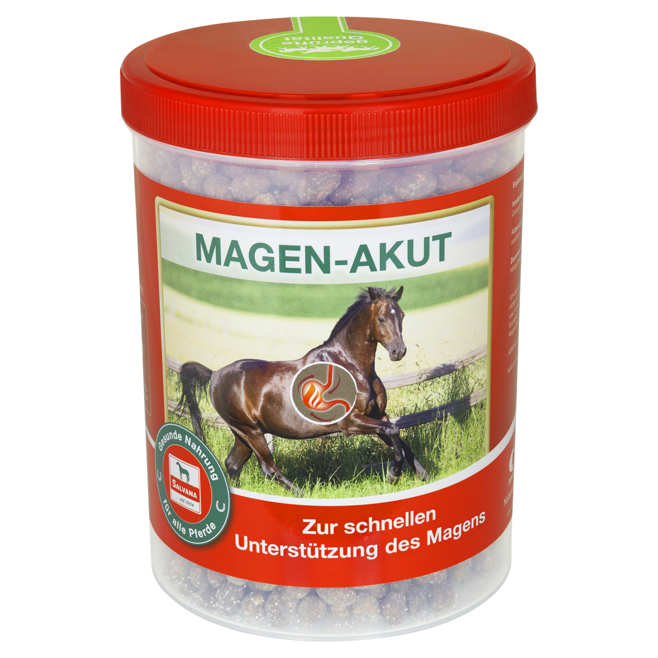 SALVANA MAGEN-AKUT