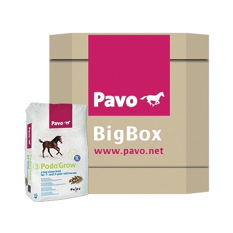PAVO Podo®Grow BigBox