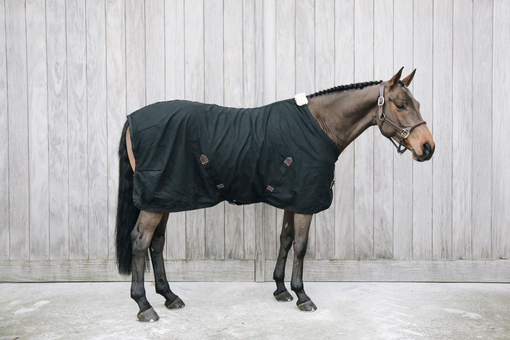 KENTUCKY® HORSEWEAR Allrounddecke Cotton Sheet, schwarz
