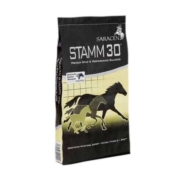SARACEN STAMM 30 