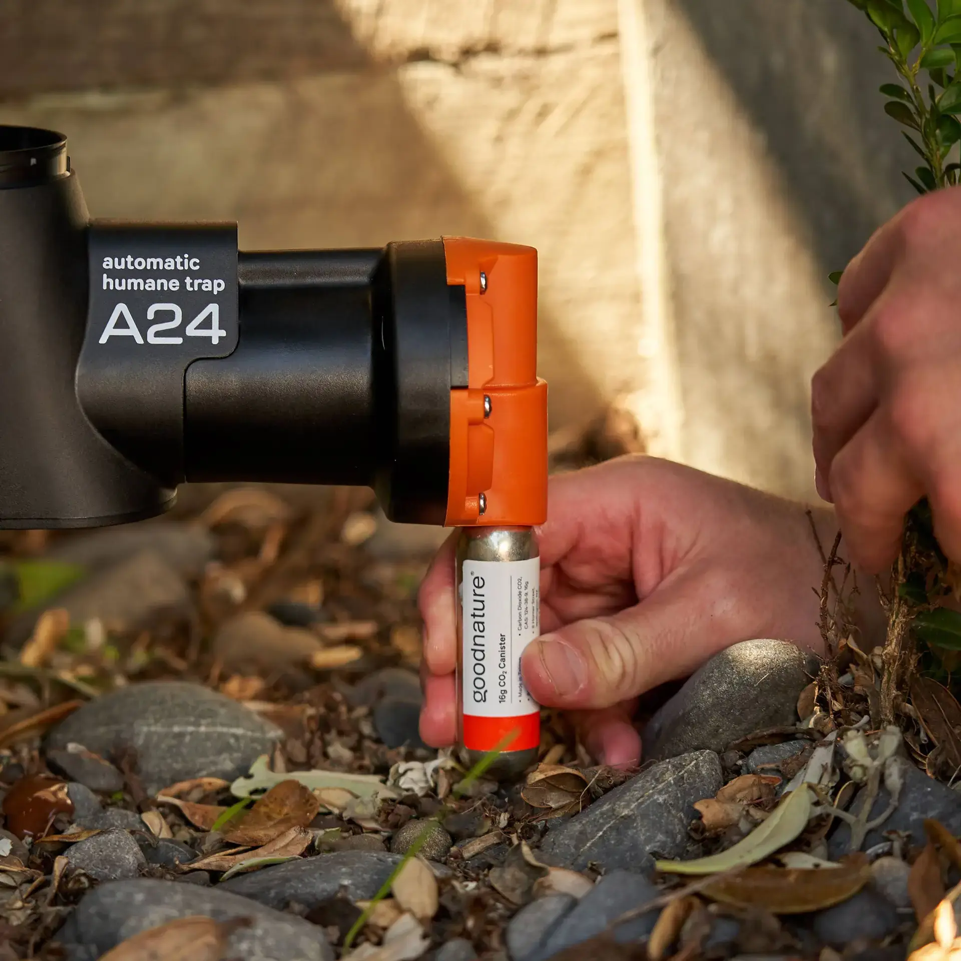 GOODNATURE® CO2-Gaskapseln 30er-Pack