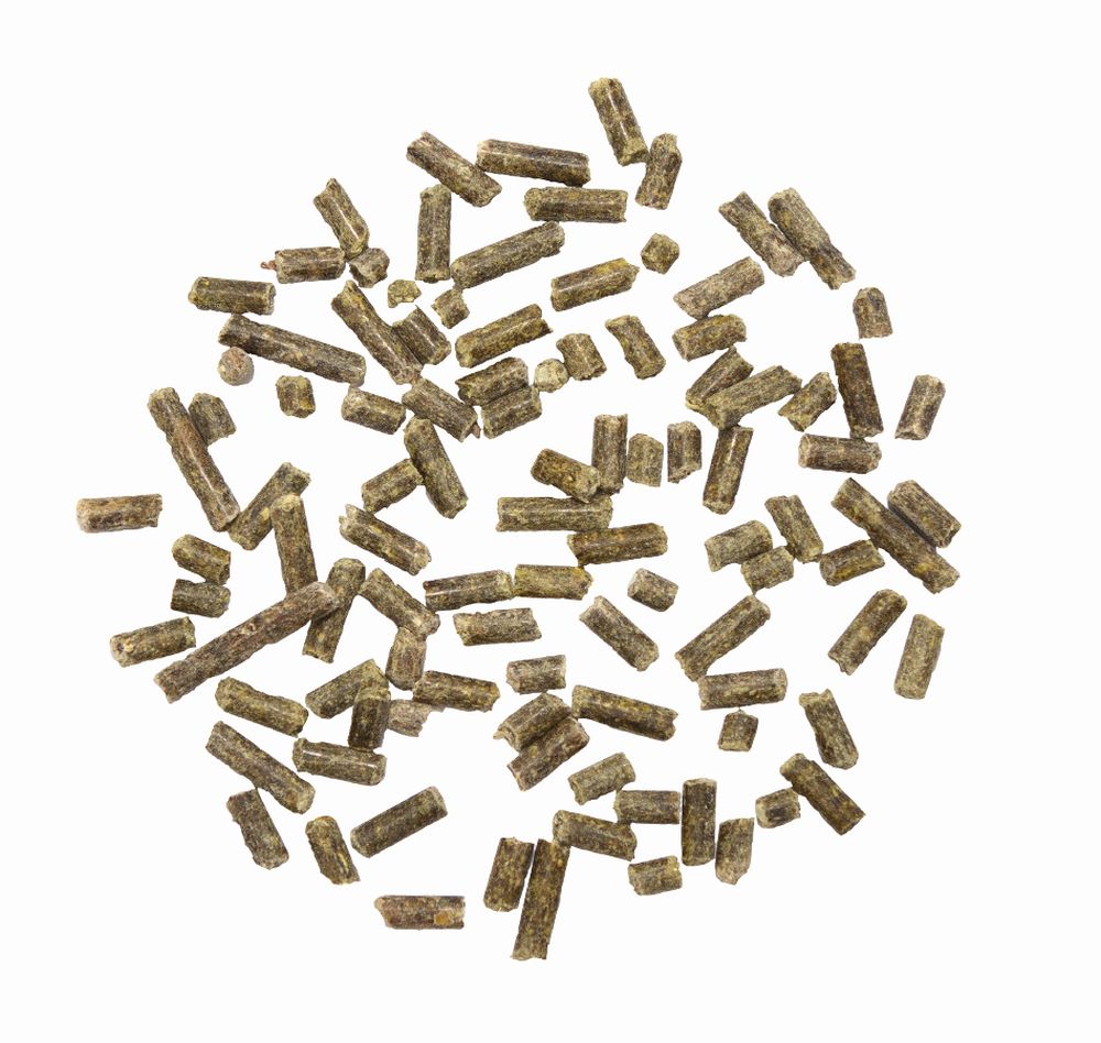MARSTALL® Amino-Muskel