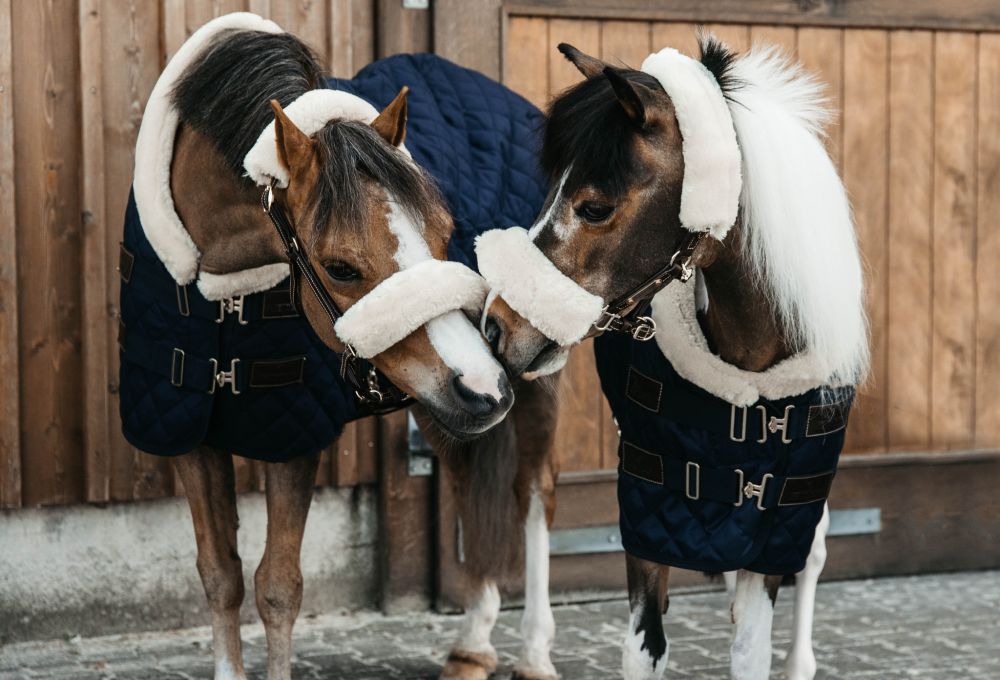 KENTUCKY® HORSEWEAR Turnierdecke, marine