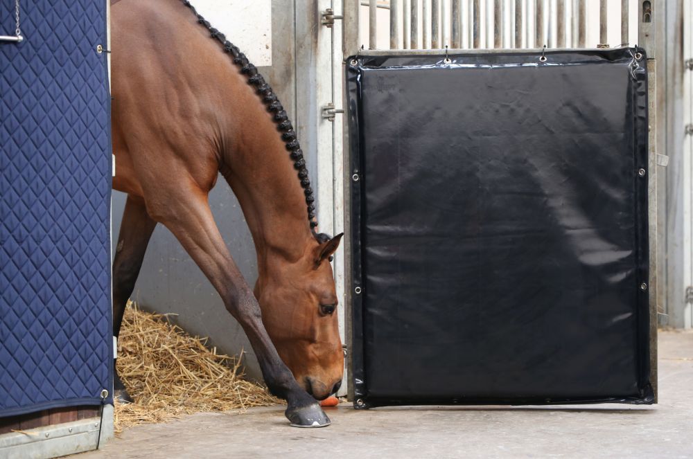 KENTUCKY® HORSEWEAR Kick Pad
