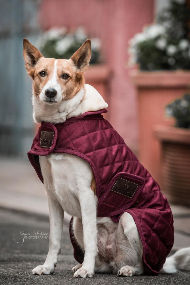 KENTUCKY® DOGWEAR Hundemantel Original 160 g, bordeaux