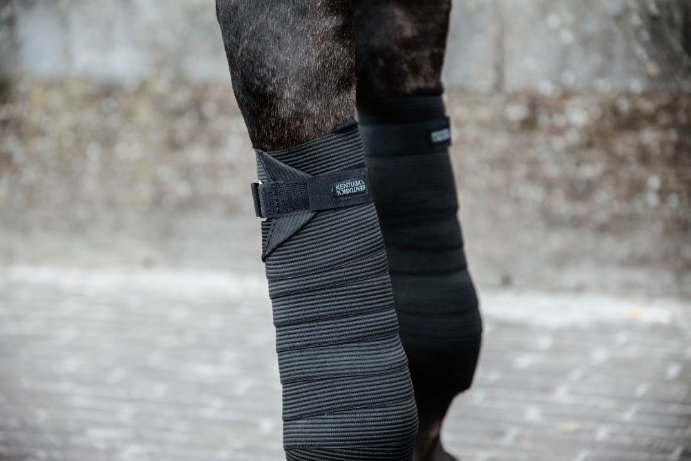 KENTUCKY® HORSEWEAR Elastik-Bandagen, 2 er-Set, schwarz