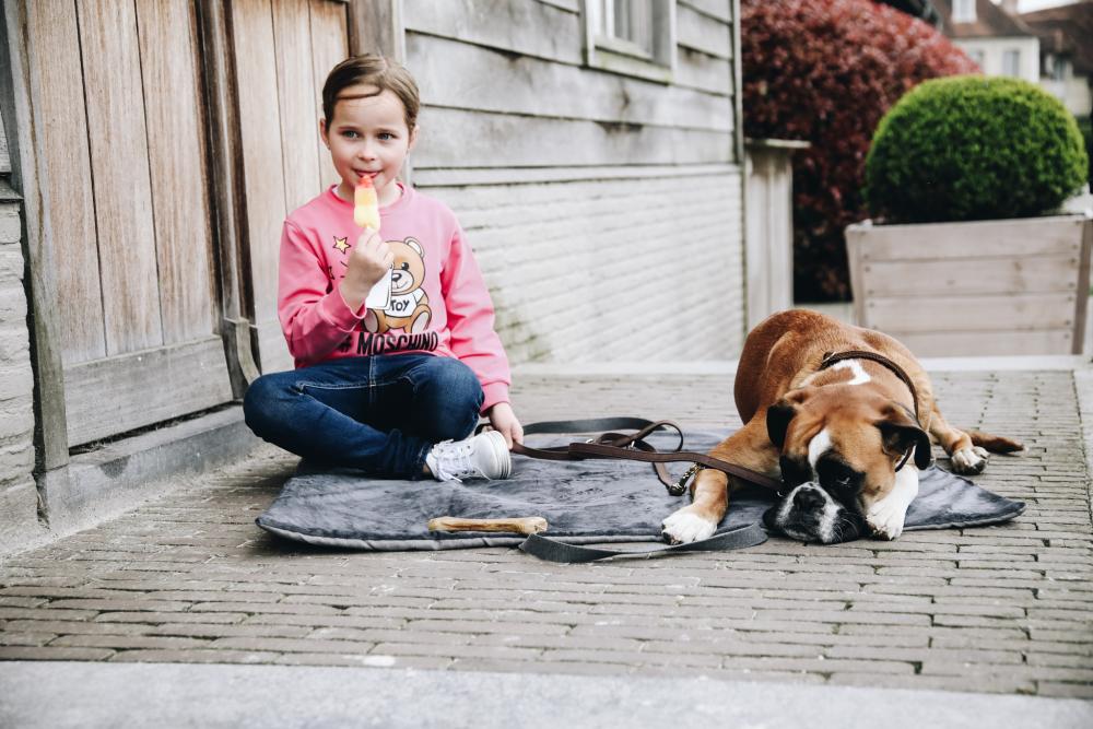 KENTUCKY® DOGWEAR Hundedecke Travel in Style, grau