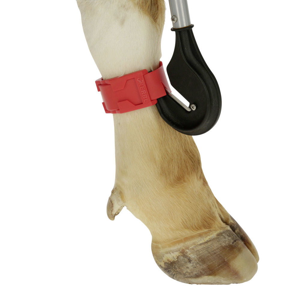 Bandagenmesser