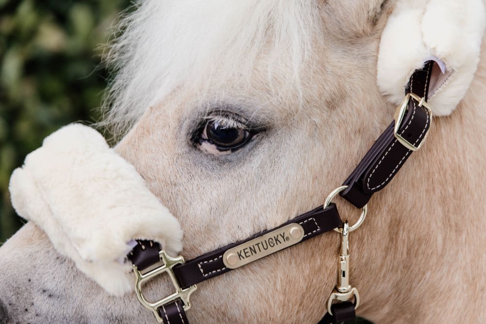 KENTUCKY® HORSEWEAR Pony-Lederhalfter mit Schaffell