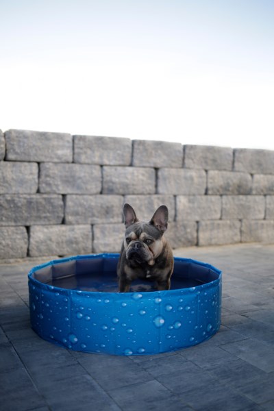 KERBL Hundepool Bubble, blau