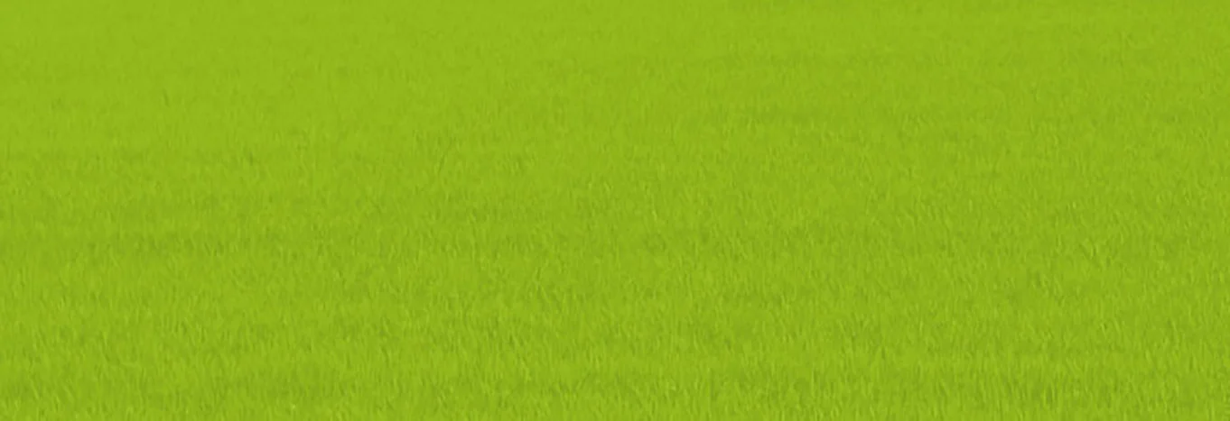 Grüner Hintergrund