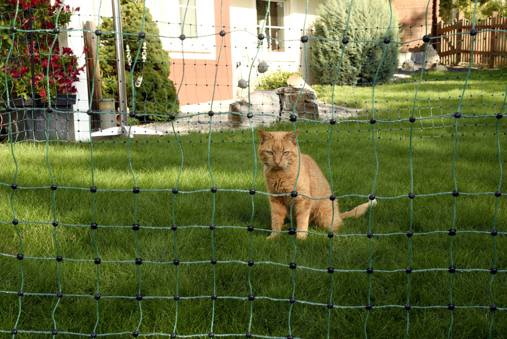 AKO CatNet, elektrifizierbar, 25 m