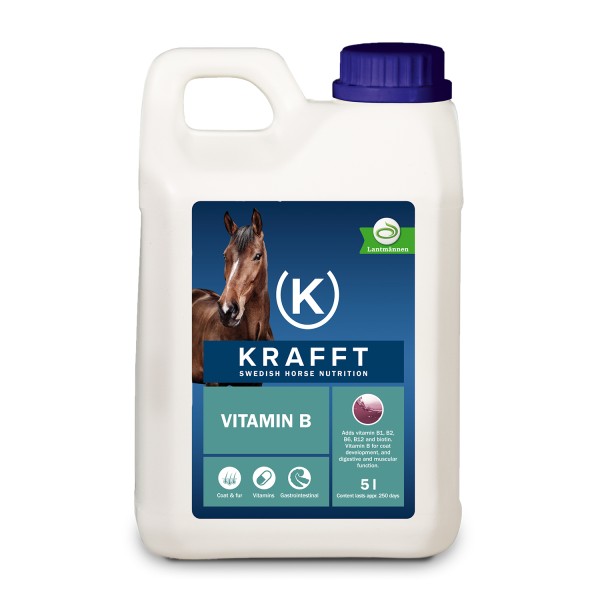 KRAFFT VITAMIN B FLÜSSIGE FORM