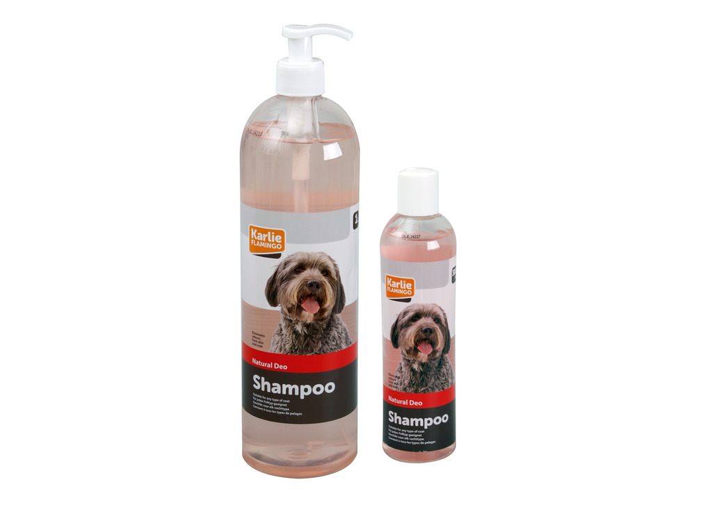 Natürliches Deo-Shampoo