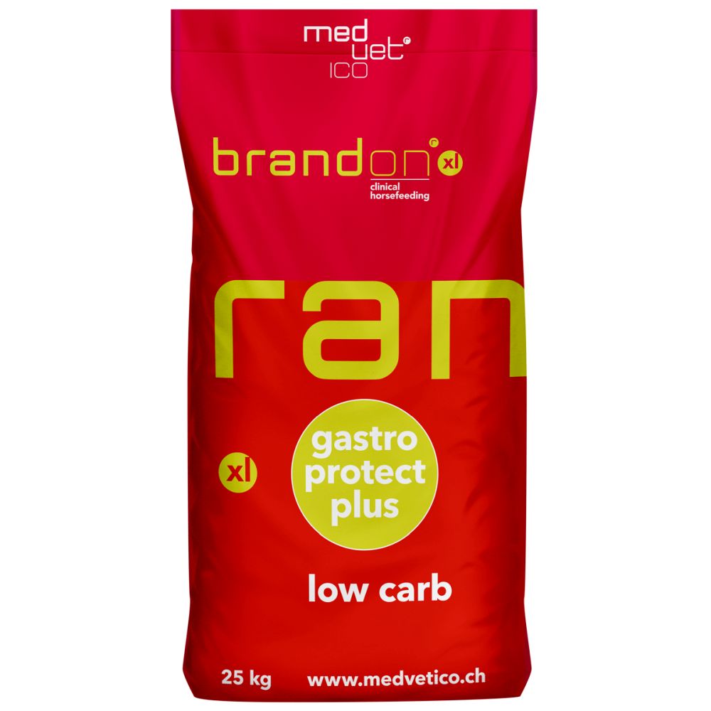 BRANDON® XL - low carb
