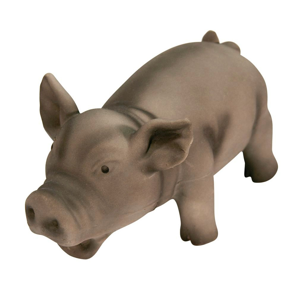 Schwein