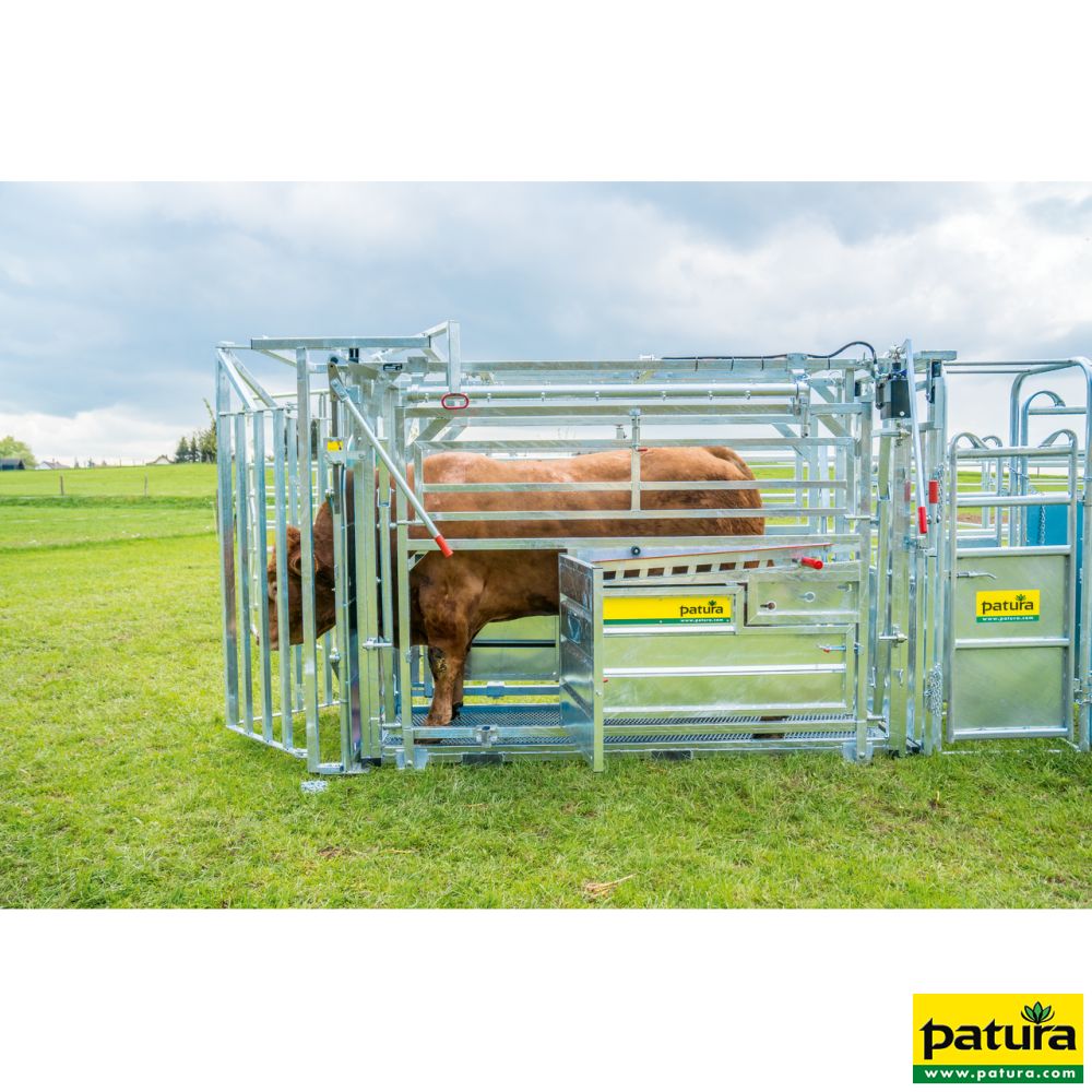 PATURA Behandlungsstand A 8000