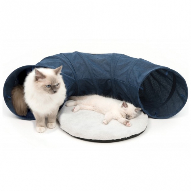 Vesper Katzen-Tunnel 