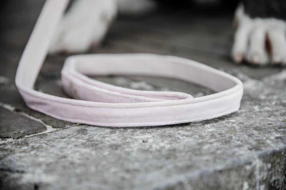 KENTUCKY® DOGWEAR Hundeleine Samt 120 cm, zartes rosa