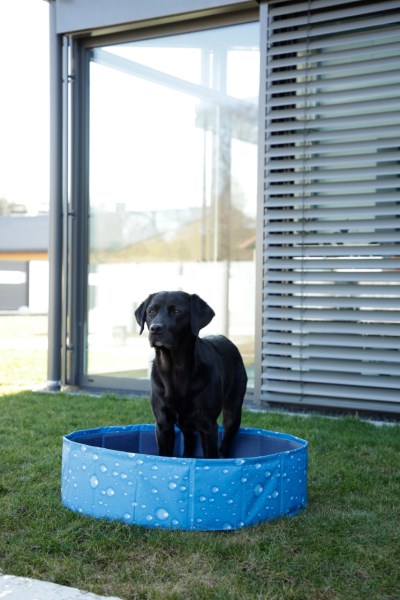 KERBL Hundepool Bubble, blau