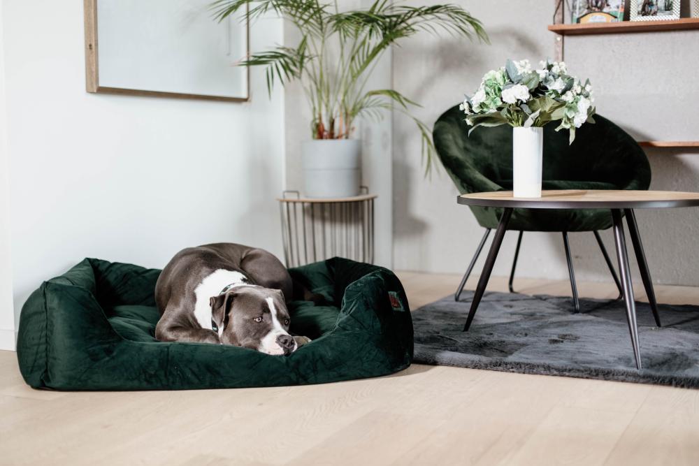 KENTUCKY® DOGWEAR Hundebett aus Samt, tannengrün