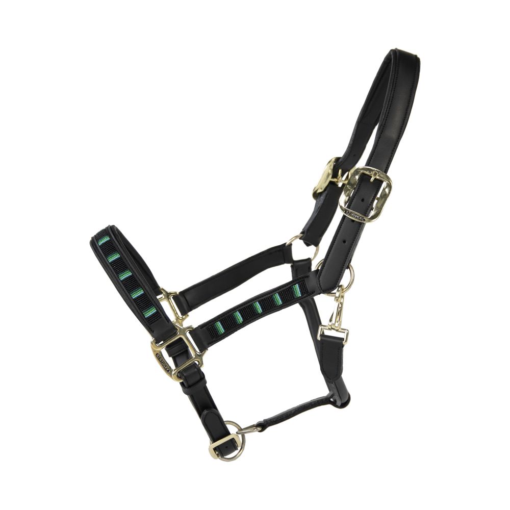 KENTUCKY® HORSEWEAR Pearls Halfter, schwarz