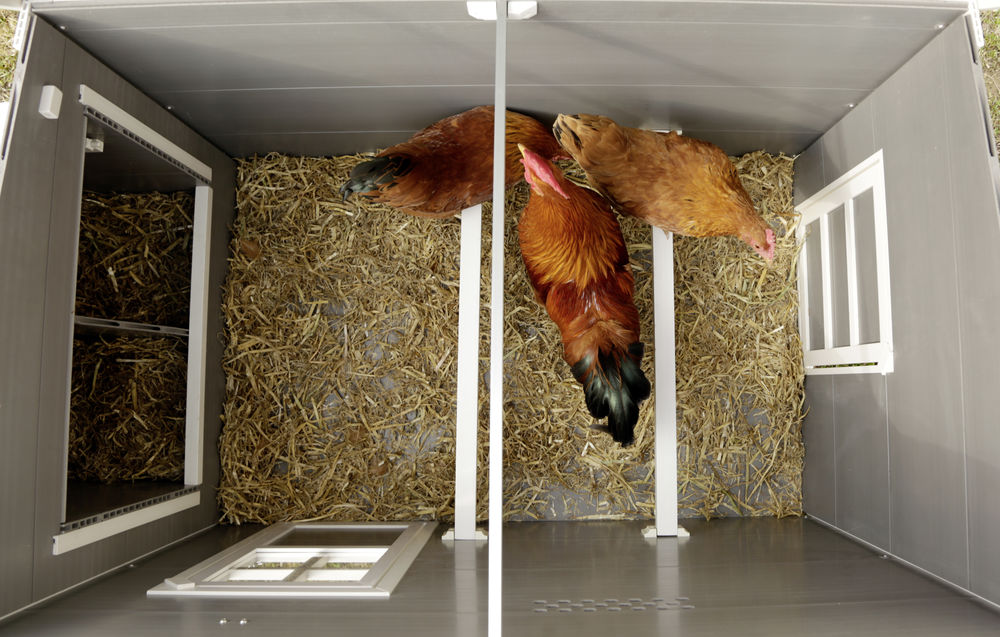 KERBL ECO-Kunststoffstall Barney