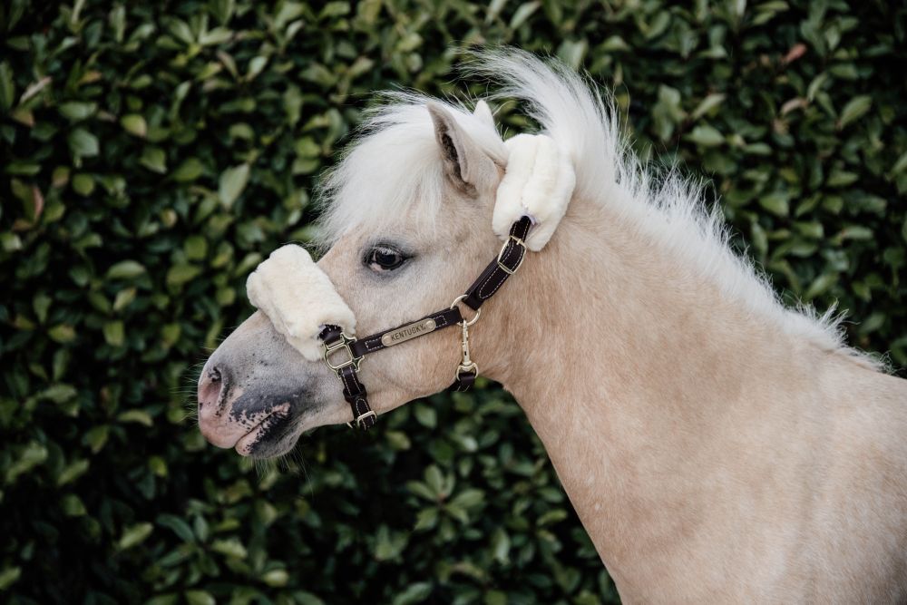 KENTUCKY® HORSEWEAR Pony-Lederhalfter mit Schaffell