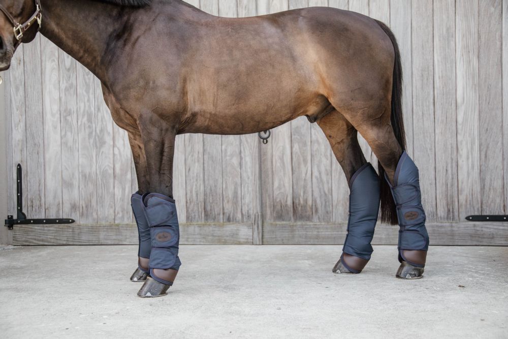 KENTUCKY® HORSEWEAR Transportgamaschen