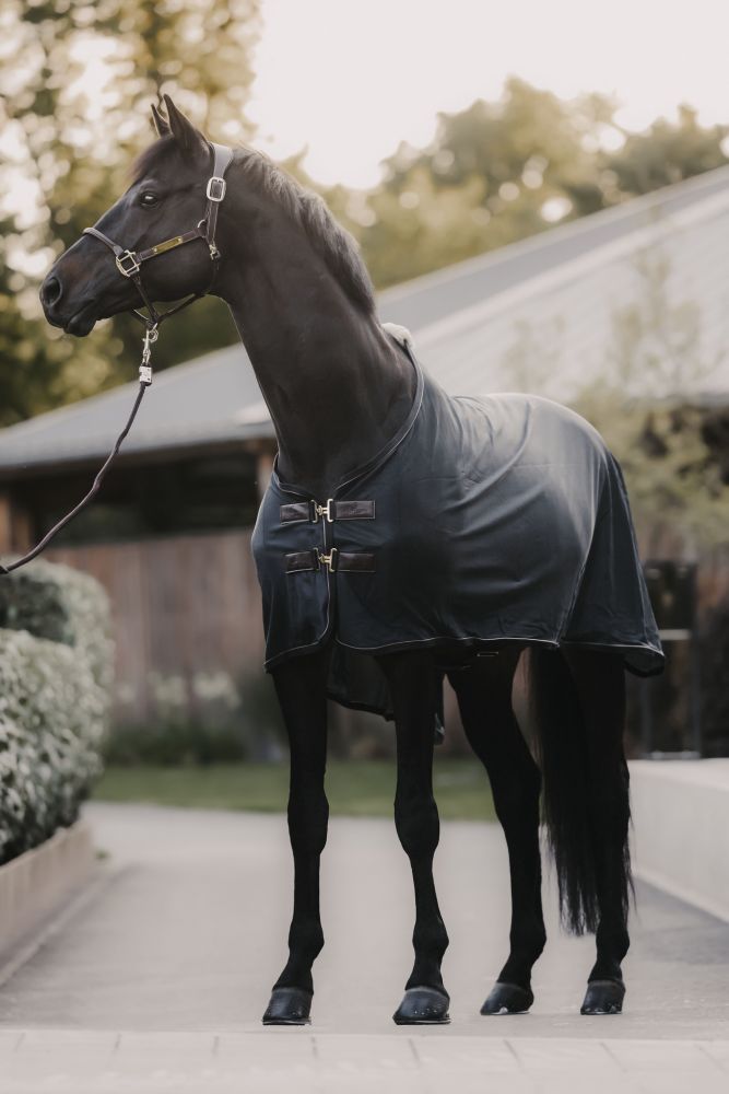 KENTUCKY® HORSEWEAR Mesh Fliegendecke