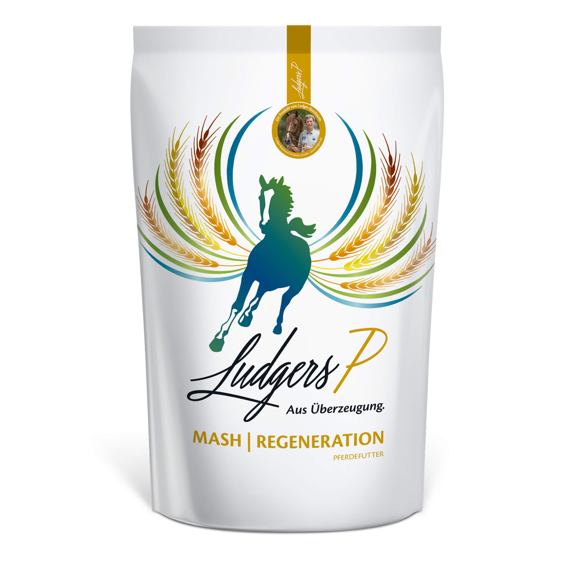 LUDGERS P MASH | REGENERATION