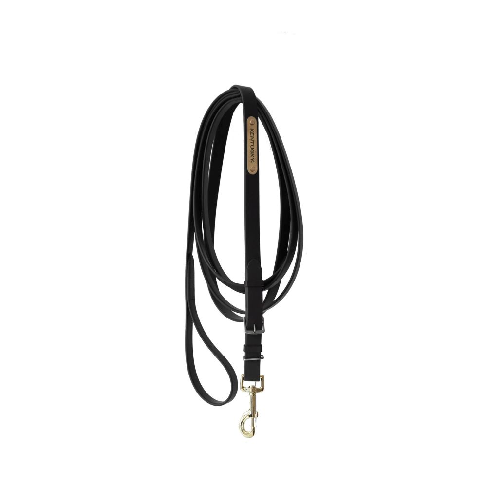 KENTUCKY® HORSEWEAR Hengstführleine, schwarz
