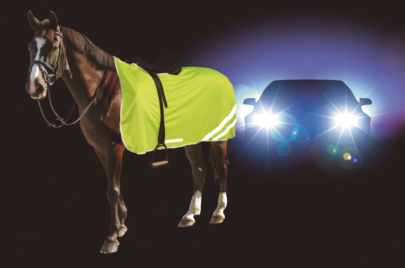 Ein gesatteltes Pferd trägt die reflektierende Kerbl Sicherheitsdecke in Neongelb, die im Autoscheinwerferlicht leuchtet.