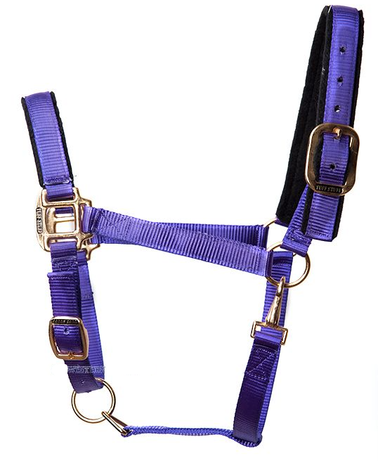 WESTERN IMPORTS® Tuff Stuff Halter, lila, Jährling