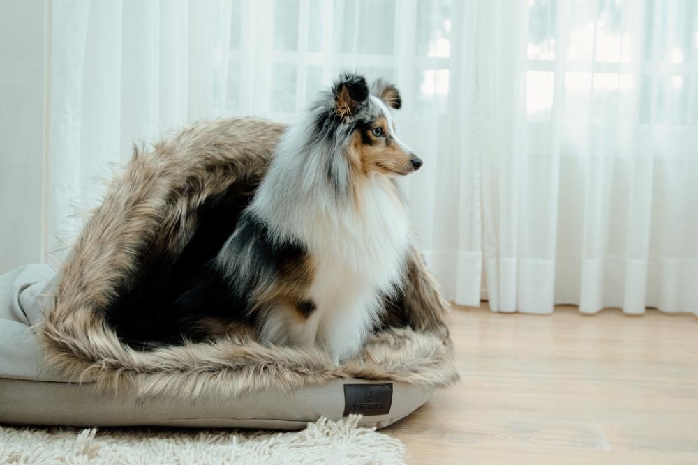 KENTUCKY® DOGWEAR Hundebett Iglu, braun