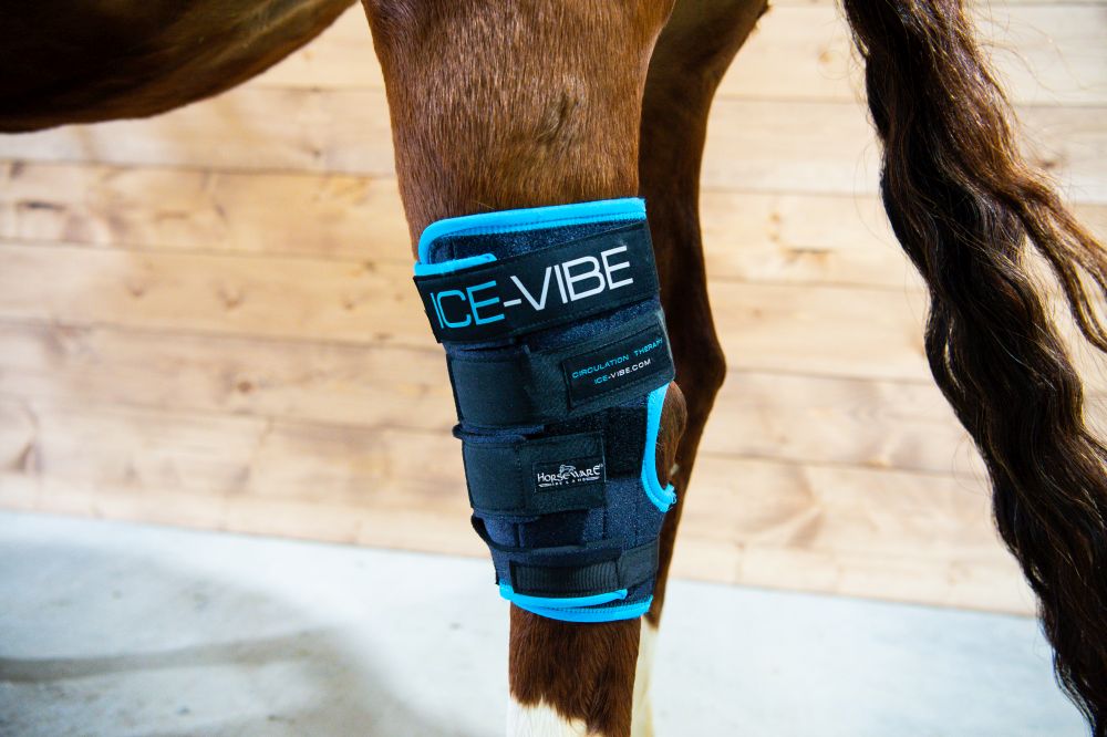 HORSEWARE® Ice-Vibe® Hock Wrap (Sprunggelenk)