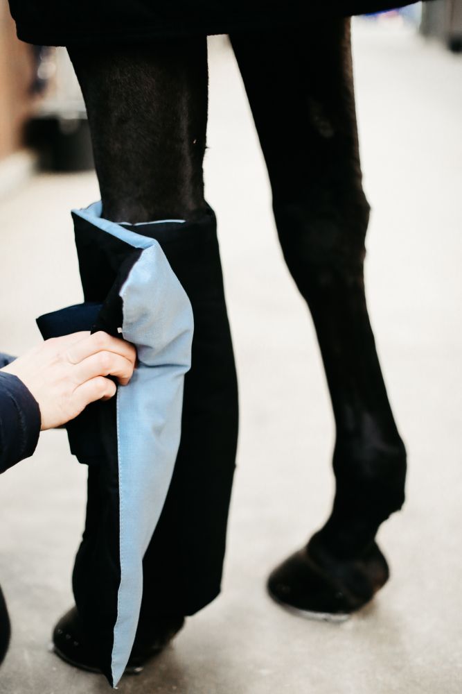 KENTUCKY® HORSEWEAR Magnetic Recuptex Bandagierunterlagen