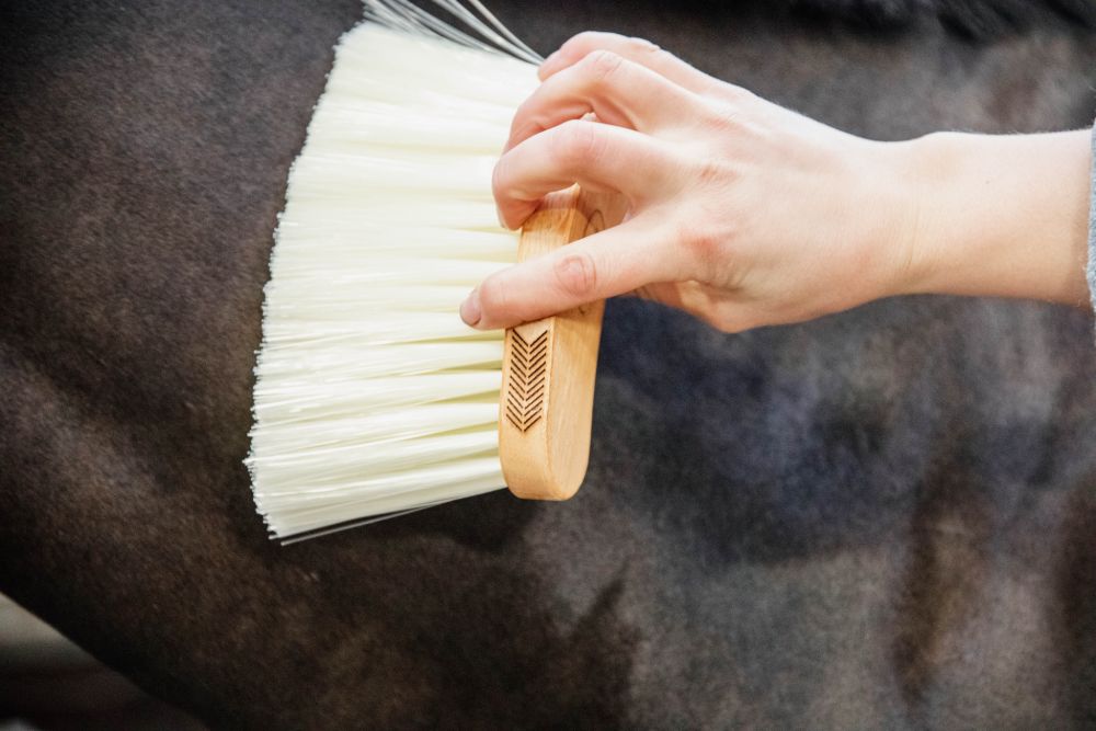 KENTUCKY® GROOMING DELUXE Middle Brush Long, natur