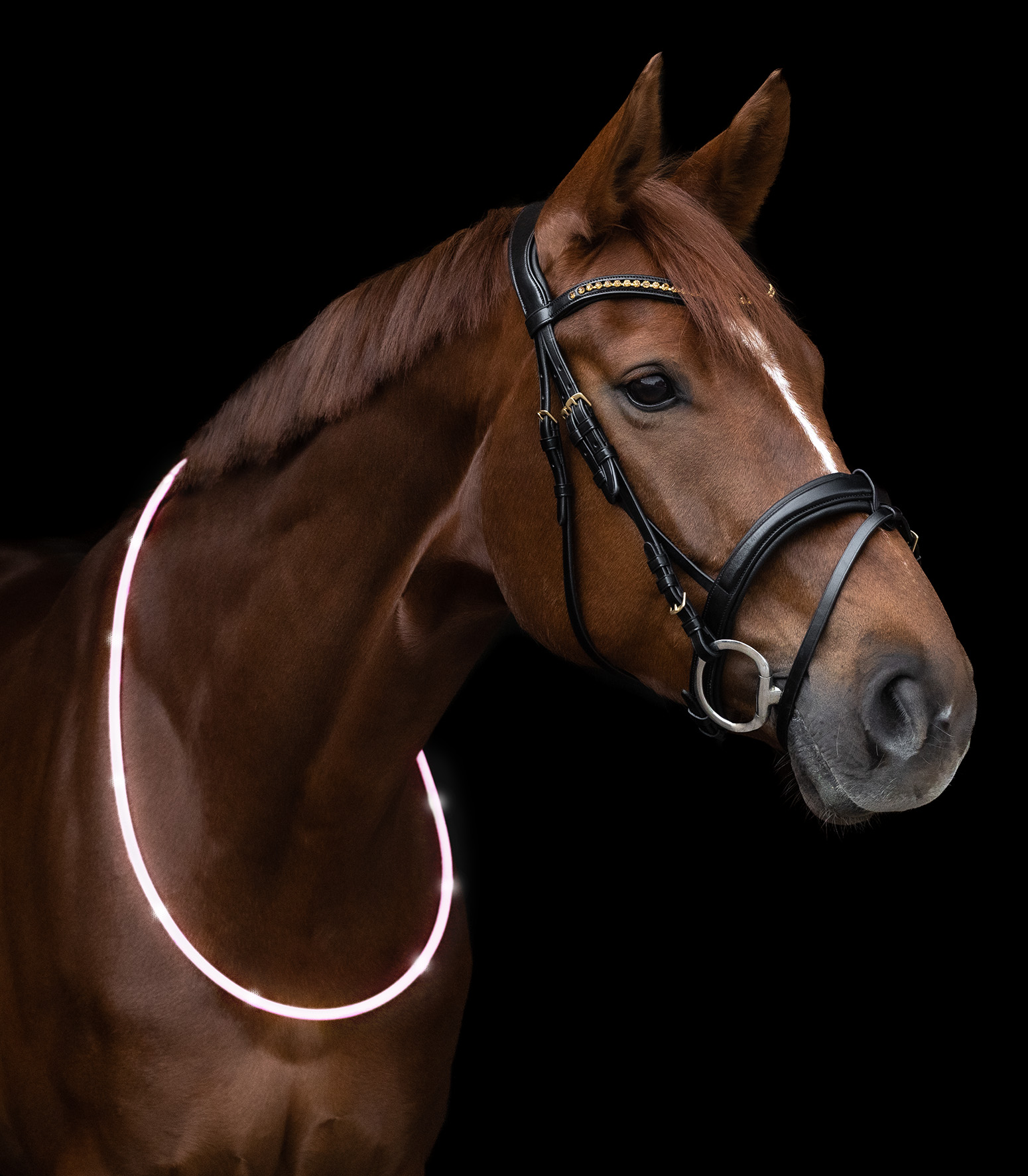 WALDHAUSEN LED-Halsriemen, weiß