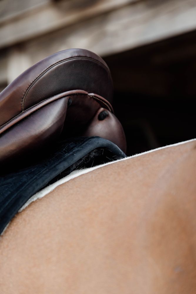 KENTUCKY® HORSEWEAR Skin Friendly Schabracke Velvet Dressur, schwarz