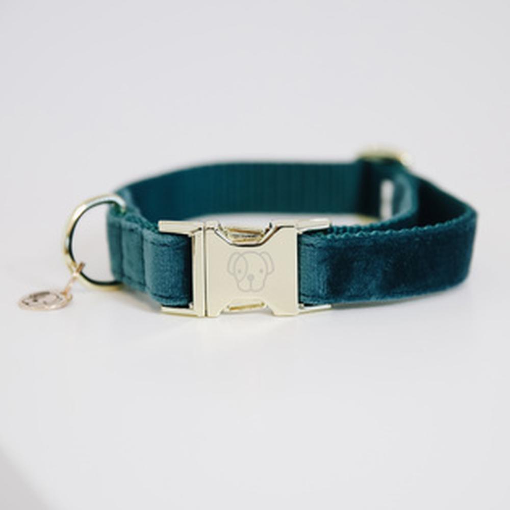KENTUCKY® DOGWEAR Hundehalsband Samt, smaragdgrün