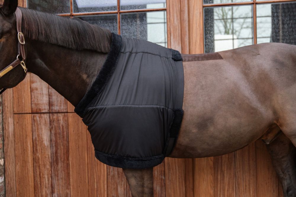 KENTUCKY® HORSEWEAR Brustschutz