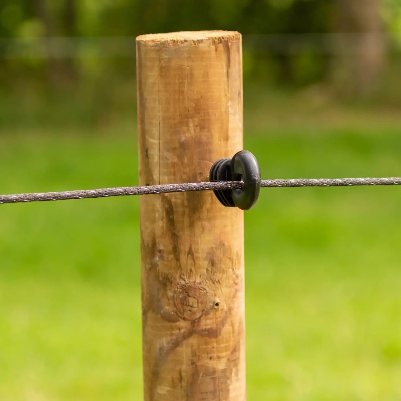 GALLAGHER PowerLine-Cord, terra